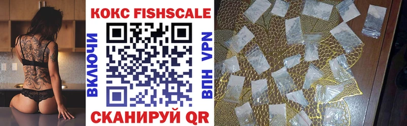 Купить закладки  Завитинск  КОКАИН FishScale 