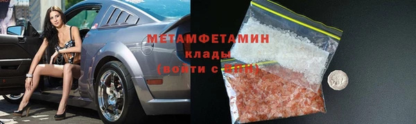 гидра Каменногорск