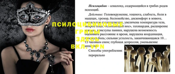 спиды Каменка