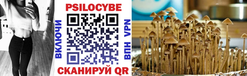 Купить закладки  Завитинск  Галлюциногенные грибы Psilocybe 